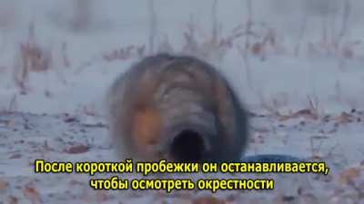 Нет ну правда а
