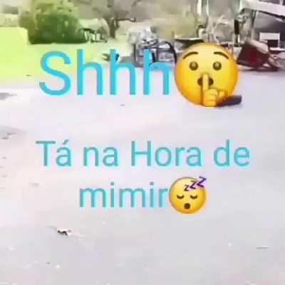 A mimi