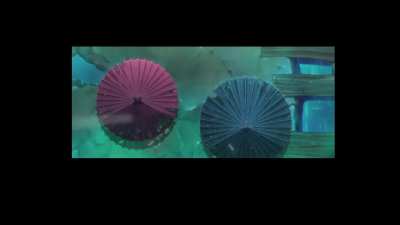 One Piece endings are finally returning after 17 years. Here is a sneak peek of the new ending for Wano arc