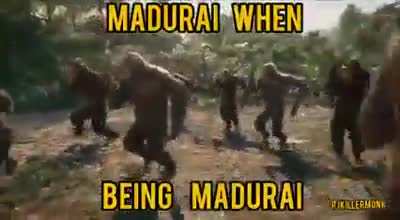 Apes Strong Together!! ( Not Oc)
