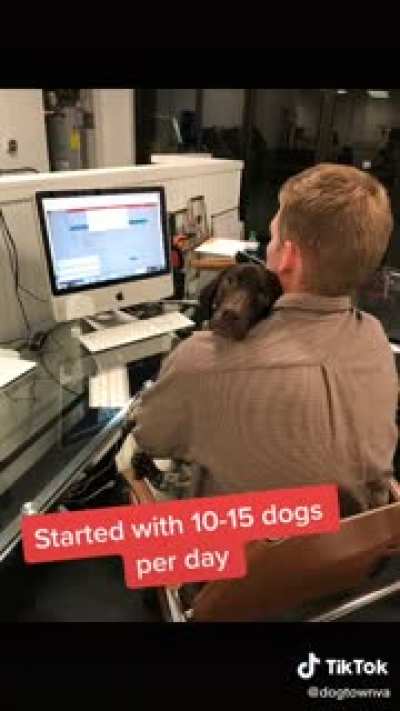 Doggy daycare dream