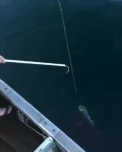 just fishing