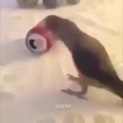 Title