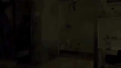 Bees don't fly in the dark