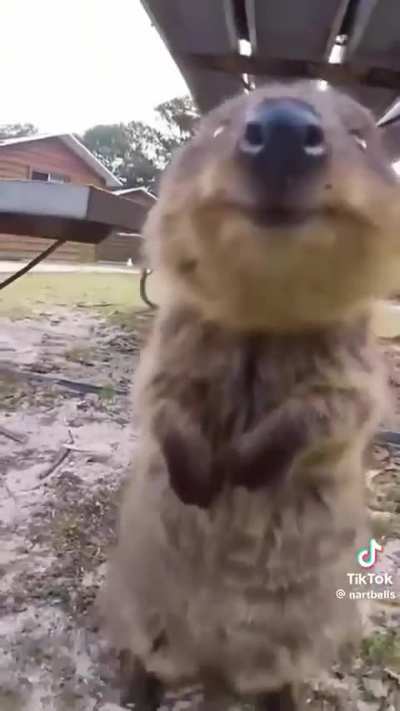 :)
