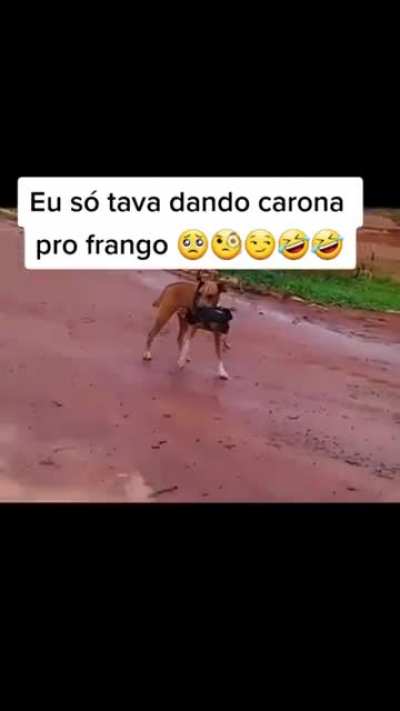 🤣🤣🤣🤣