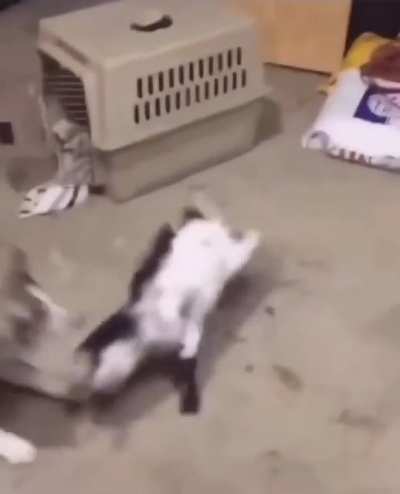 Mistakes were made