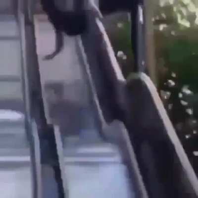 KAKAKAJKAKAKAKAK??