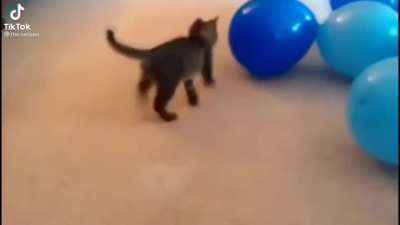 Just playing with balloons