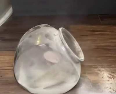 Wunkus does drugs 