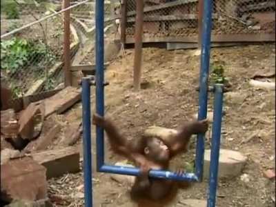 monky flip fail :(