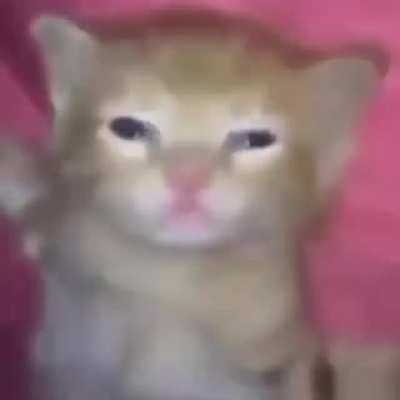 Si