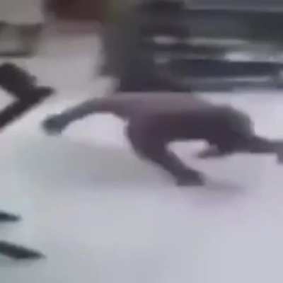 Wtf