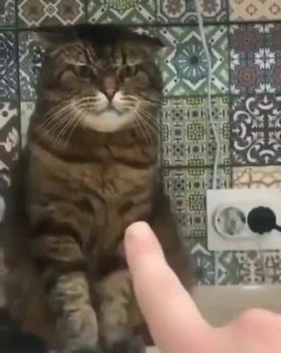 Not a fan of boops.