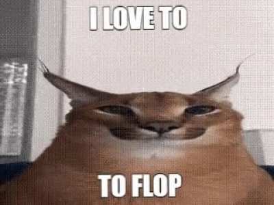 i love my floppa