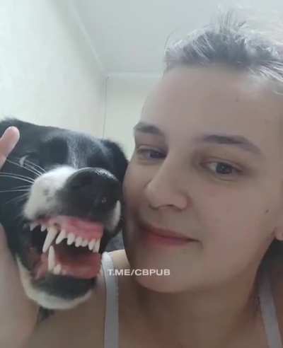 WCGW giving a cute puppy a little kiss?