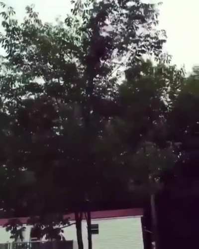 HMFT after I play tree frisbee
