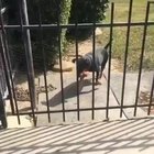 Isolation is hard for everyone ..
