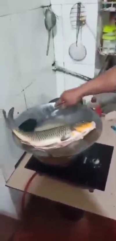 Cooking can be terrifying