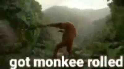 rawr UwU