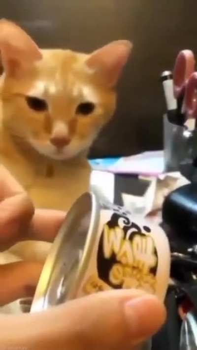 Wunkgry