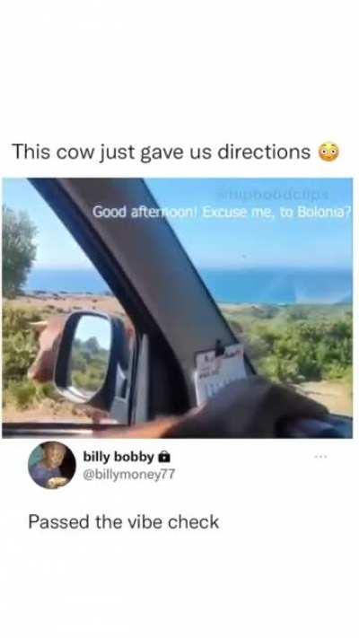 “This way!”