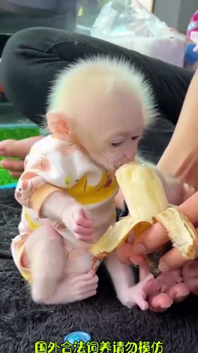 hmm bananinha