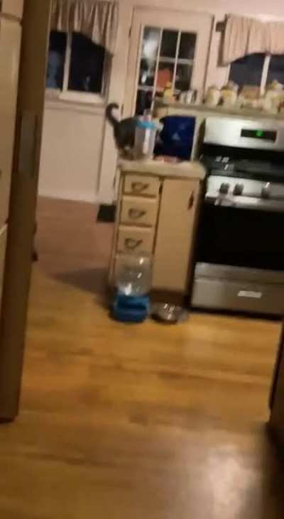 WAAAAAAH-