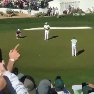 All this excitement for golf! I love it.