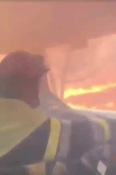 Firefighters in the south of France who only survived because of the 