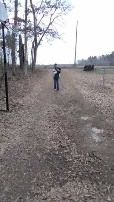 Rooster Returns