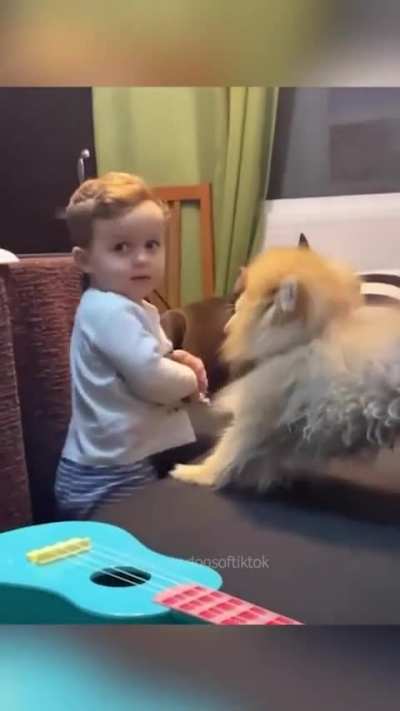 Kid vs Dogs 🐕🐶