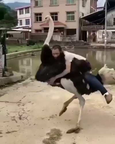 Well he got pretty far