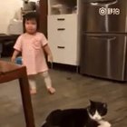 Cat discretely trips toddler