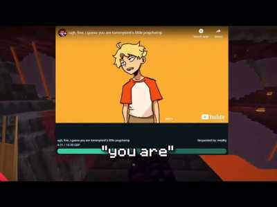 The Screams of a man who has lost his hope in humanity (Credit to theuserunnamed on YouTube and of course Tommyinnit)