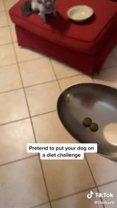 Its the slow look around from the dog for me