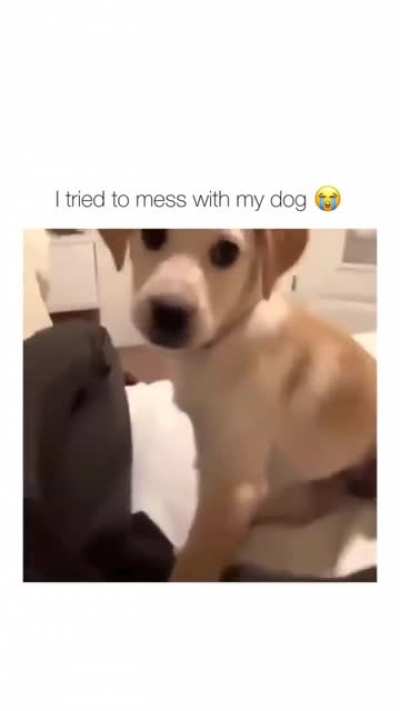 AAAAAAAAAAAAAAAAAA