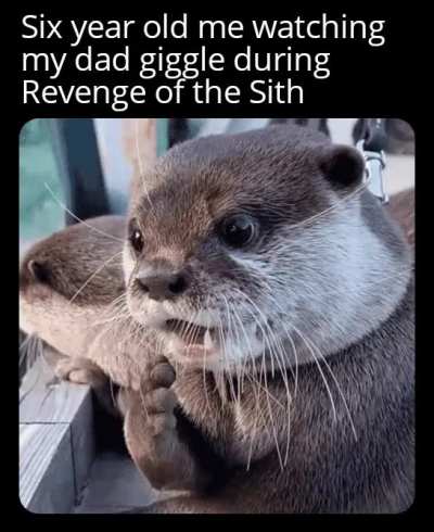 I'm in trouble now