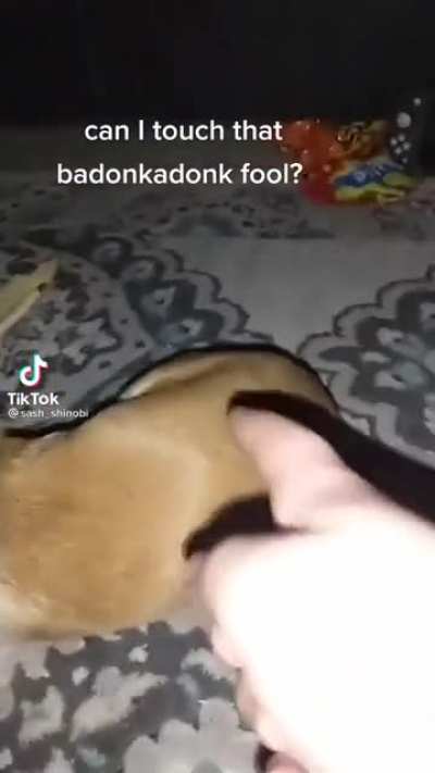 Thicc