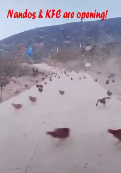 They do be running