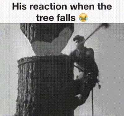 The expression is killing me 😭