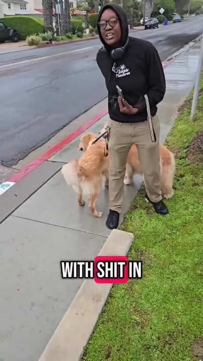 Homeowner confronts woman who threw dog shit at his wife’s face