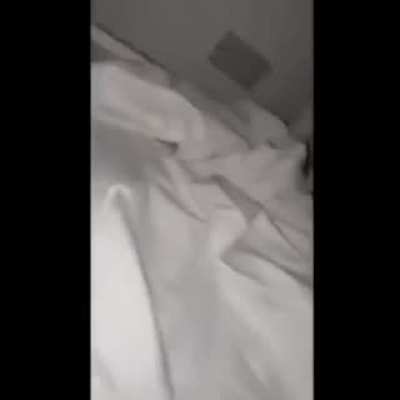 POV: Bottom Bunk