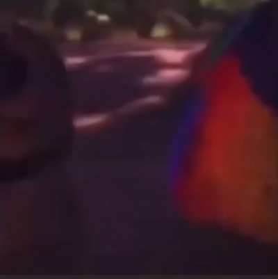 O
