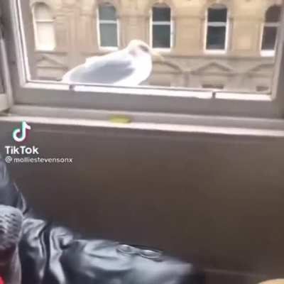 He did what she asked