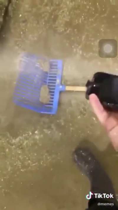 yesyesyesNOOOOOO