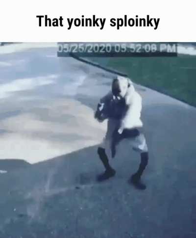 me on your ring doorbell after i place a pipebomb on your porch