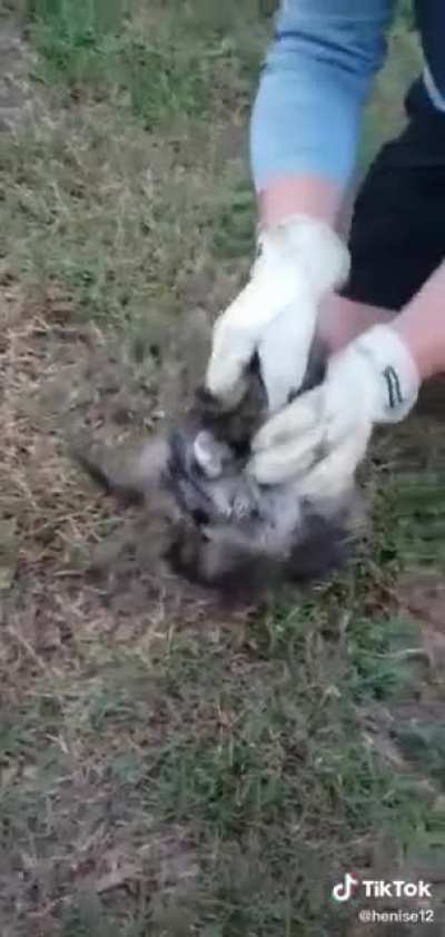 He stuck