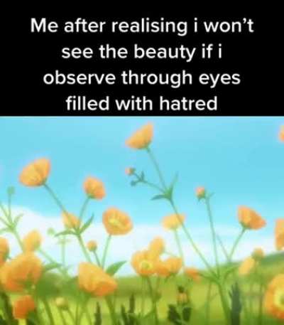 Have no enemies