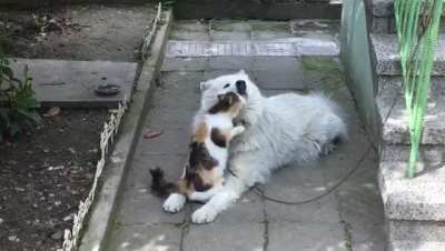 Friendship snuggles